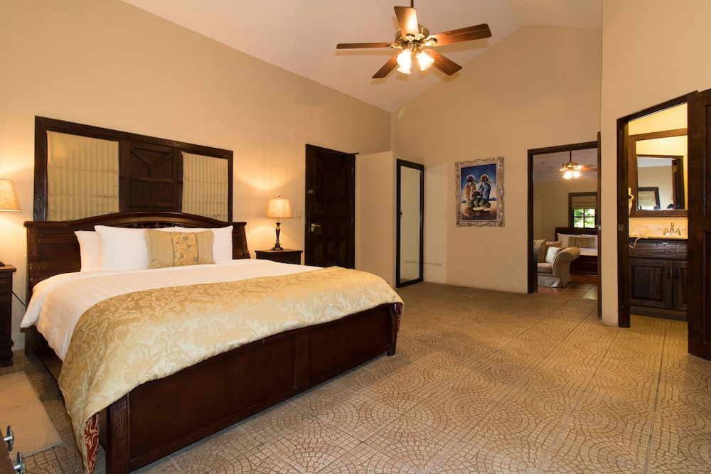 Junior Suite, 1 King Bed - Photo 4