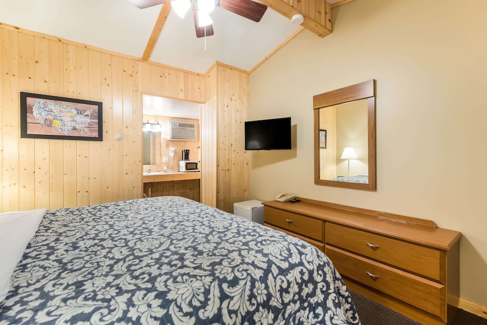 Room, 1 King Bed, Accessible, Non Smoking (Pet Friendly) - Photo 2