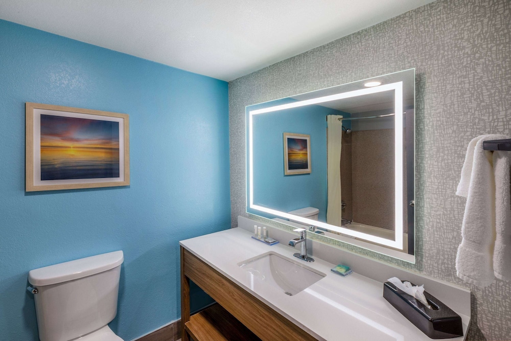 Deluxe Suite, 1 King Bed, Accessible, Non Smoking (Mobility, Tub w/ Grab Bars) - Photo 4