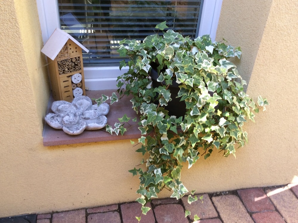 Comfort Studio, Private Bathroom, Garden View (Le Cocon des Capucines ) photo 2