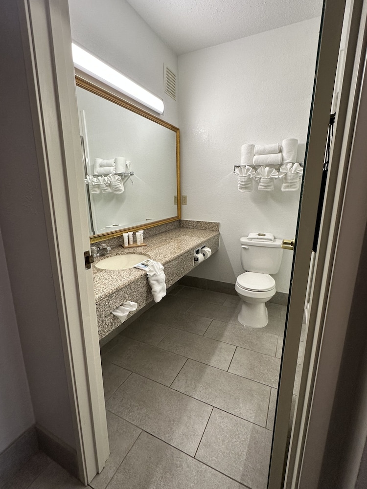 Suite, 1 Bedroom, Non Smoking - Photo 15