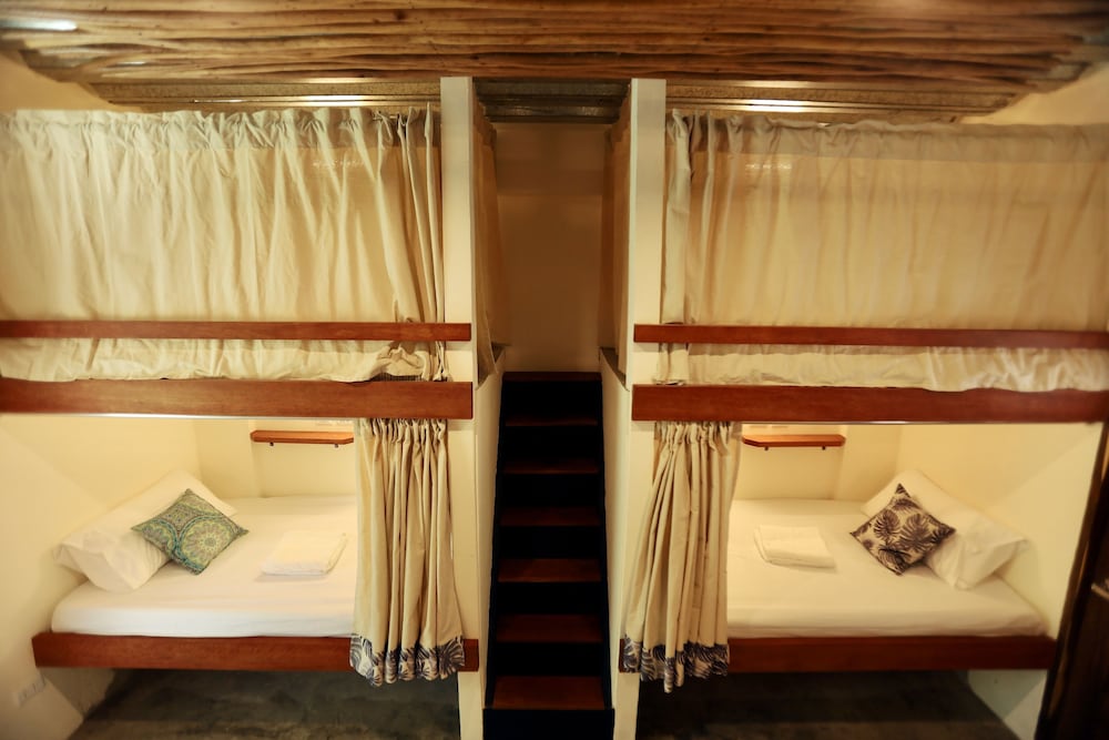 Deluxe Shared Dormitory, Mixed Dorm photo 1