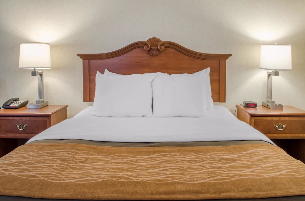 Standard Room, 1 King Bed with Sofa bed, Non Smoking - Photo 8