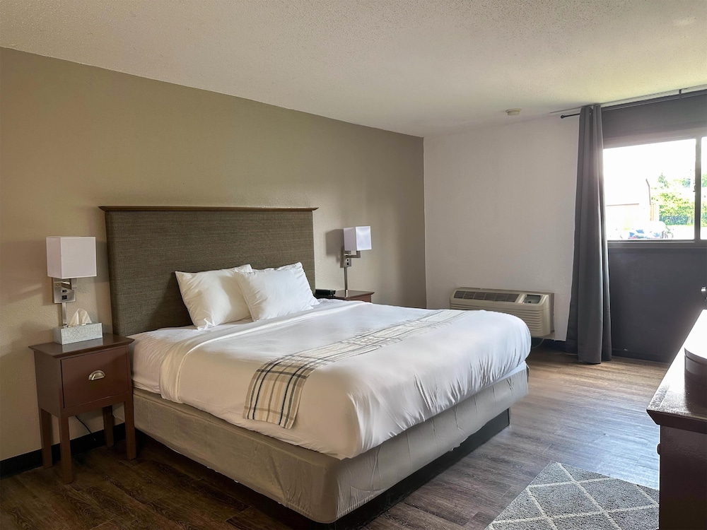 Deluxe Room, 1 King Bed, Non Smoking - Photo 4