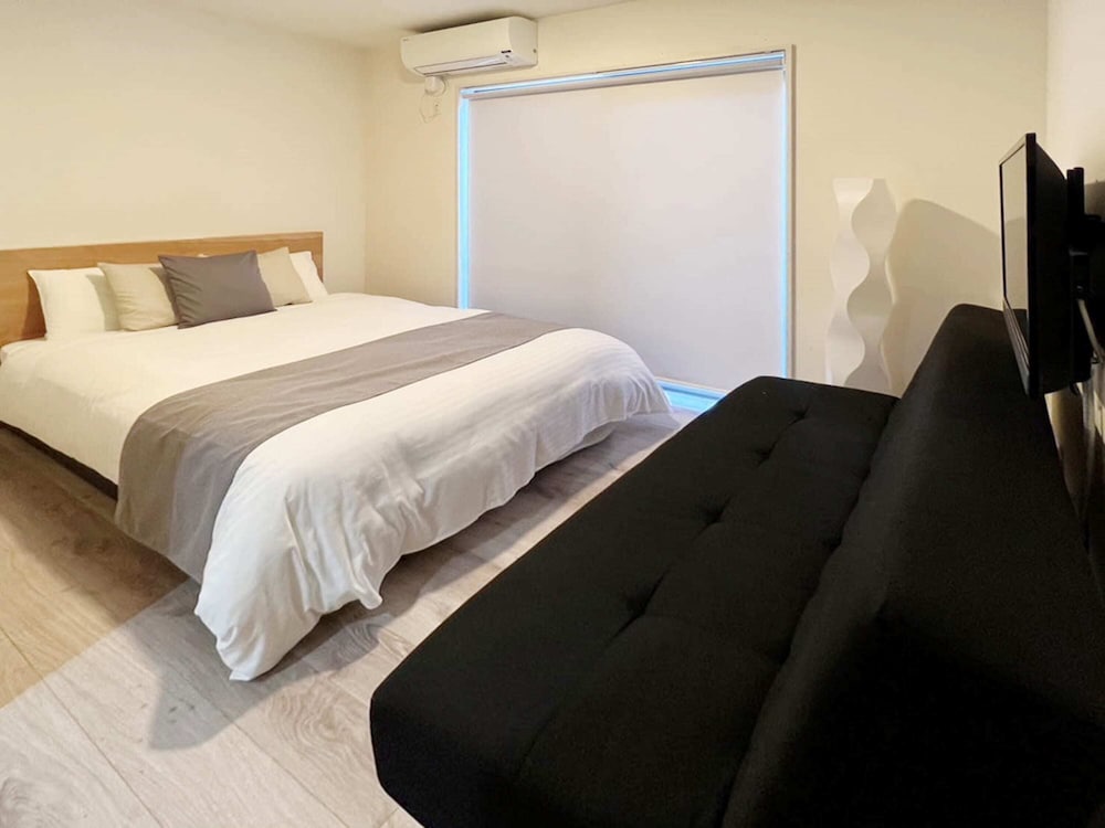 Basic Studio, 1 Double Bed with Sofa bed
