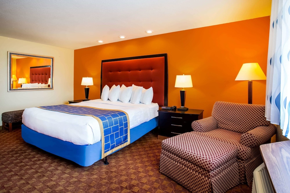 Standard Room, 1 King Bed - Photo 8