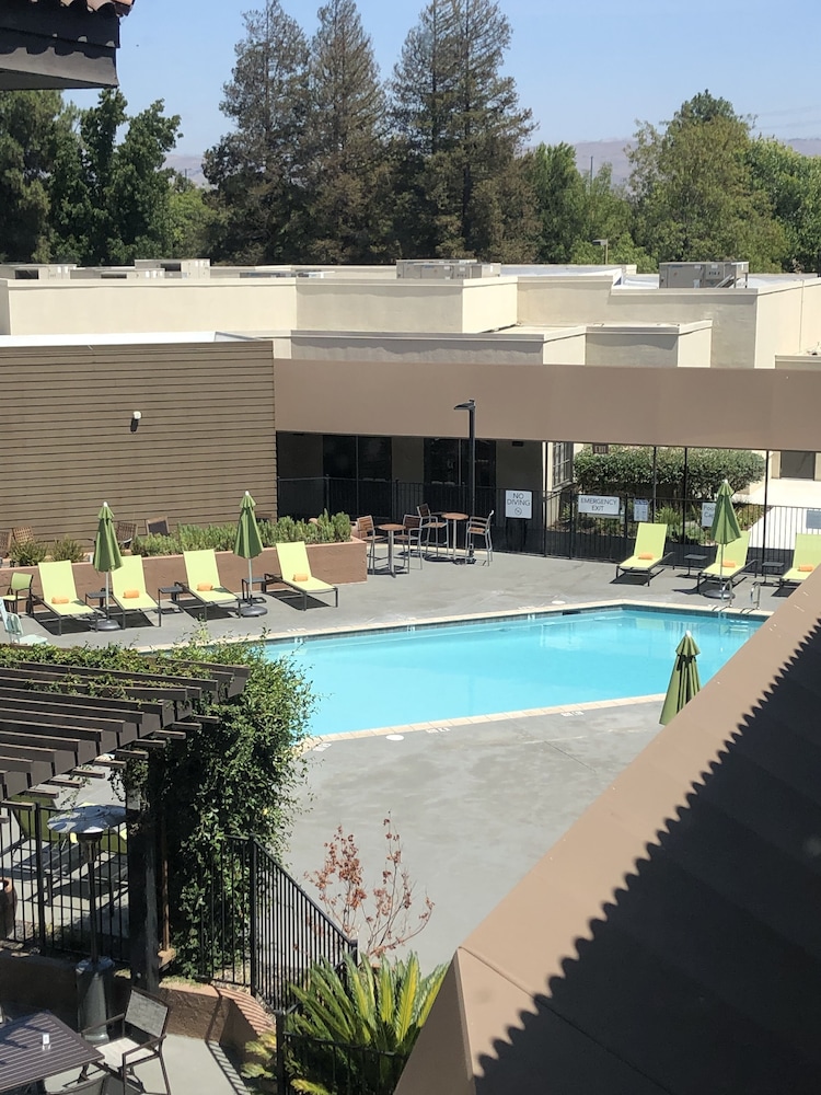 Premier Room, 1 King Bed, Pool View - Photo 5
