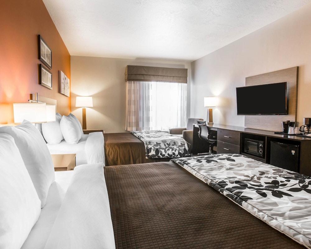 Standard Room, Multiple Beds, Non Smoking photo 3