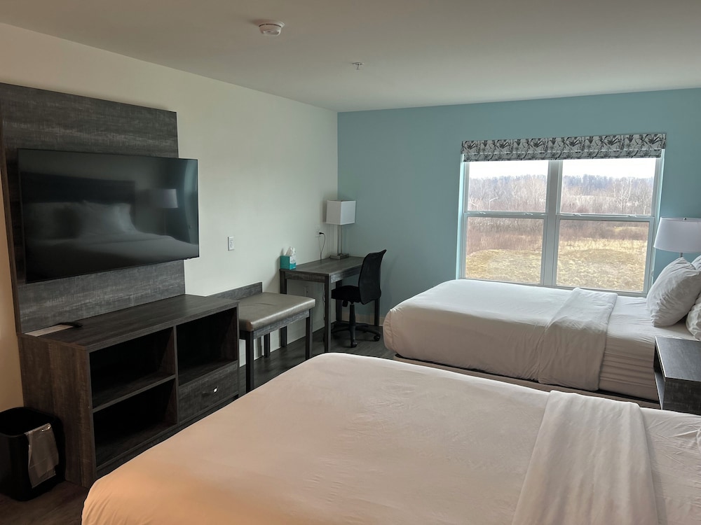 Basic Studio Suite, 2 Queen Beds photo 3