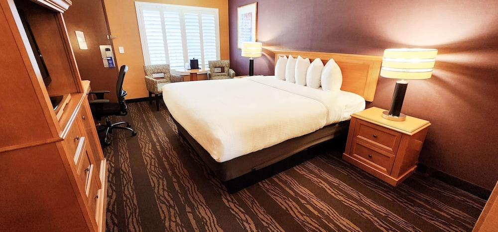 Standard Room, 1 King Bed, Accessible, Non Smoking - Photo 6