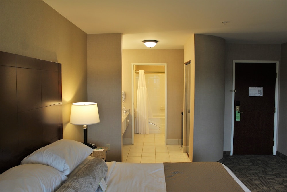 Premium Room, Fireplace photo 2