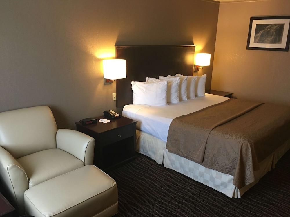 Standard Room, 1 King Bed, Accessible, Refrigerator & Microwave - Photo 3