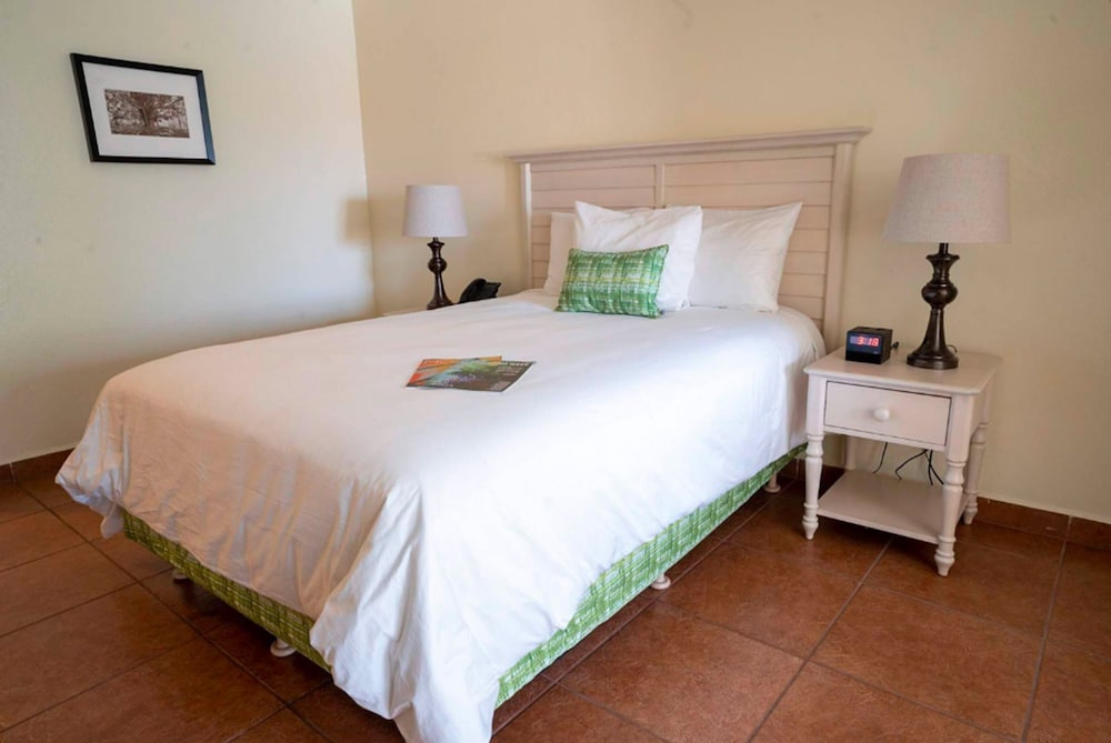 Classic Room, 1 Queen Bed photo 3