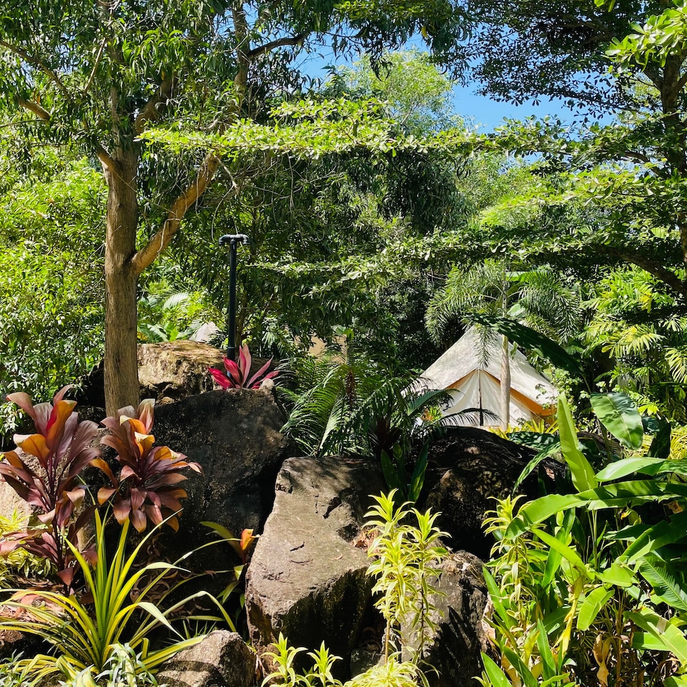 Superior Tent, Private Bathroom, Garden View - Photo 2