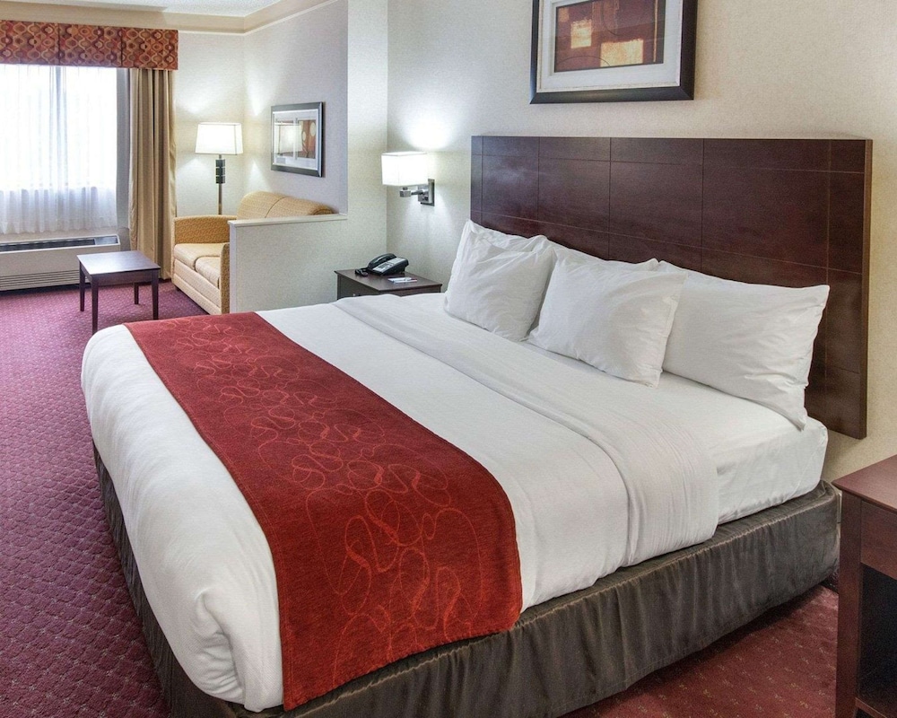 Standard Room, 1 King Bed, Non Smoking photo 2