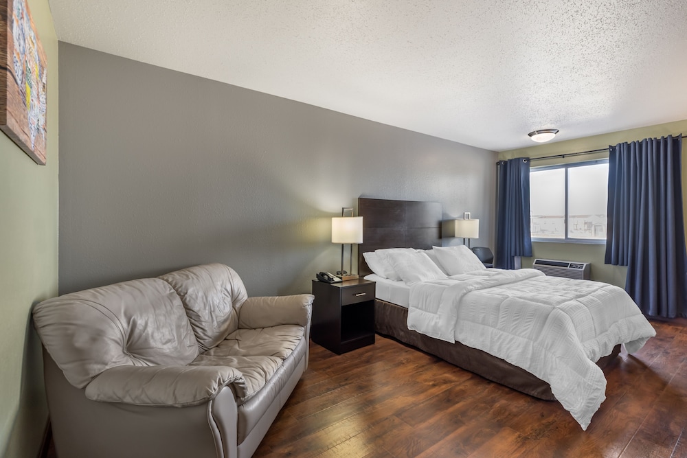 Single Room, 1 Queen Bed