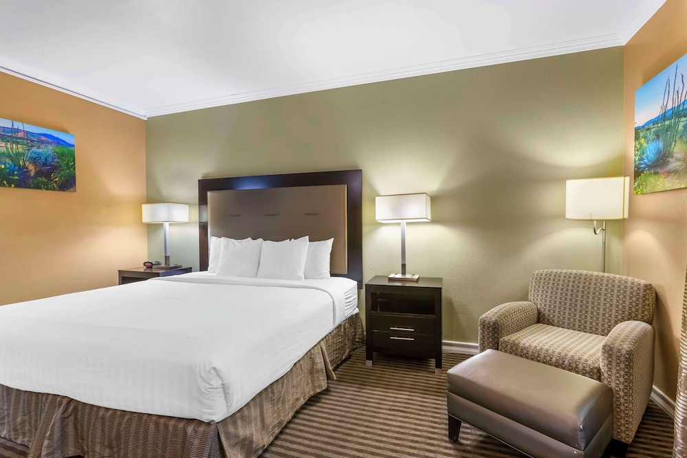 Suite, 1 King Bed, Non Smoking, Refrigerator - Photo 1
