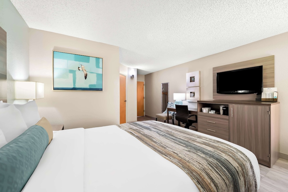 Standard Room, 1 Queen Bed, Accessible, Non Smoking photo 3