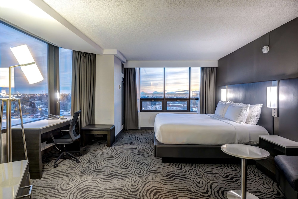 Suite, 1 King Bed