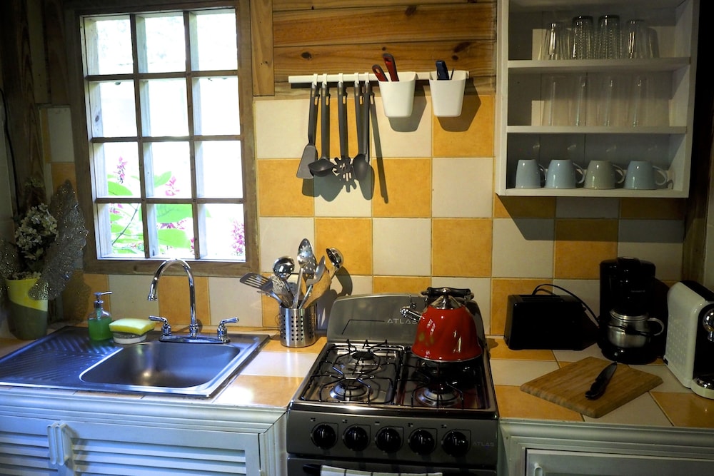 Standard Villa (Chilensis) photo 2