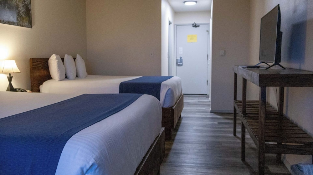 Standard Room, 2 Queen Beds, Dogs Allowed, Ground Floor photo 1