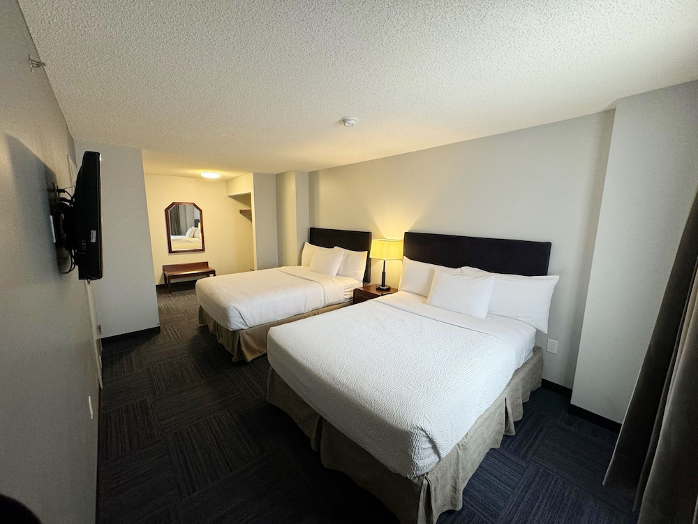 Family Suite - Photo 10