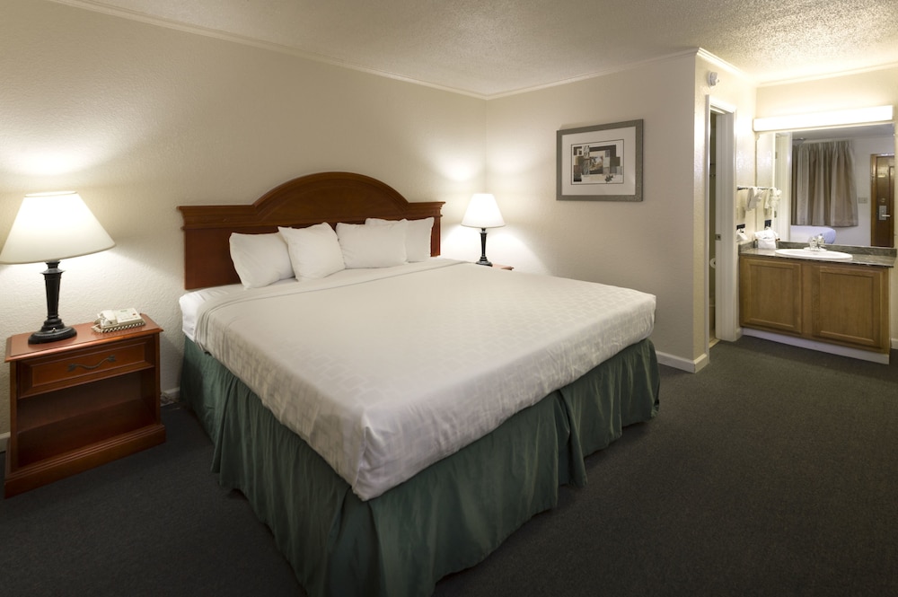 Room, 1 King Bed photo 2
