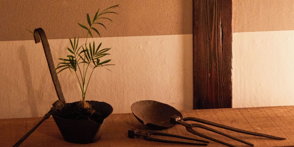 Japanese Style Room, Main Building photo 3