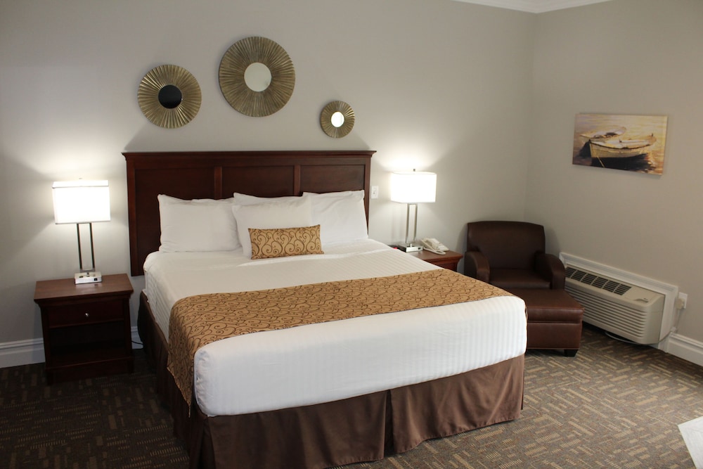King Jacuzzi Room photo 1
