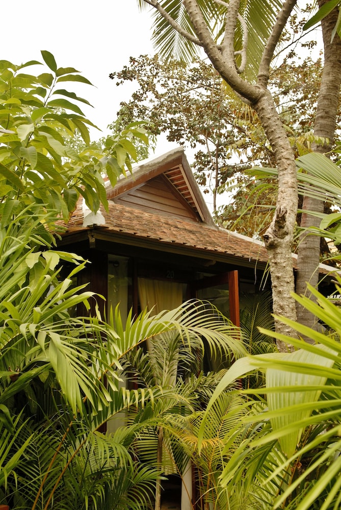 Room (Jacuzzi, water not heated, Adult Only) photo 3