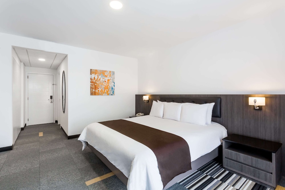 Room, 1 King Bed, Non Smoking (Matrimonial Estandar)