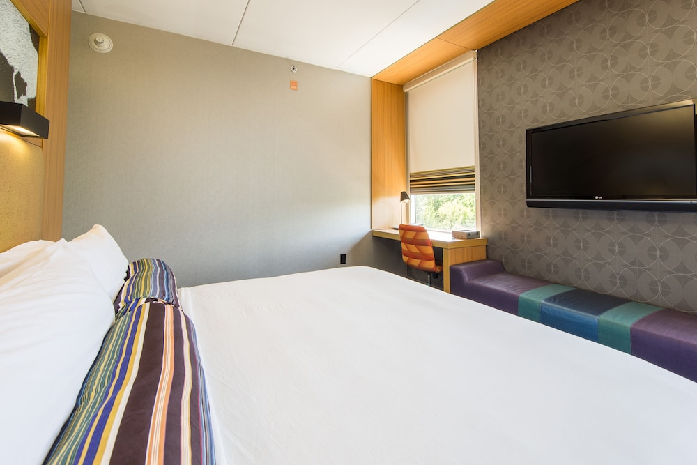 Room, 1 King Bed (Mobility Accessible, Roll-in Shower) photo 3