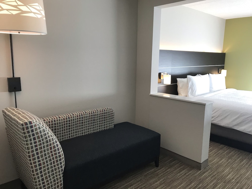 Standard Room, 1 King Bed, Accessible (Communications, Accessible Tub) - Photo 3