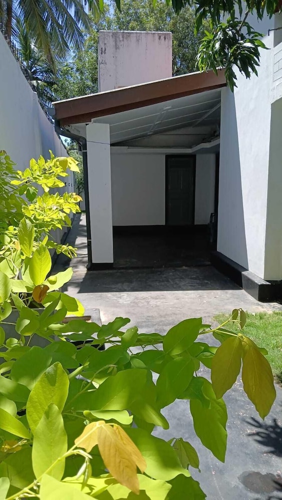 Basic Single Room, Garden View