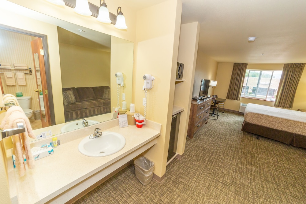 Room, 1 King Bed, Non Smoking (Pet Friendly) photo 3