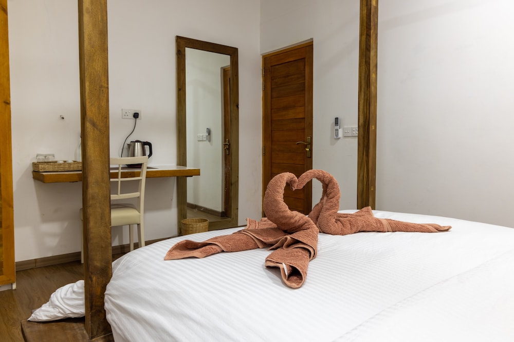 Deluxe Double Room photo 1