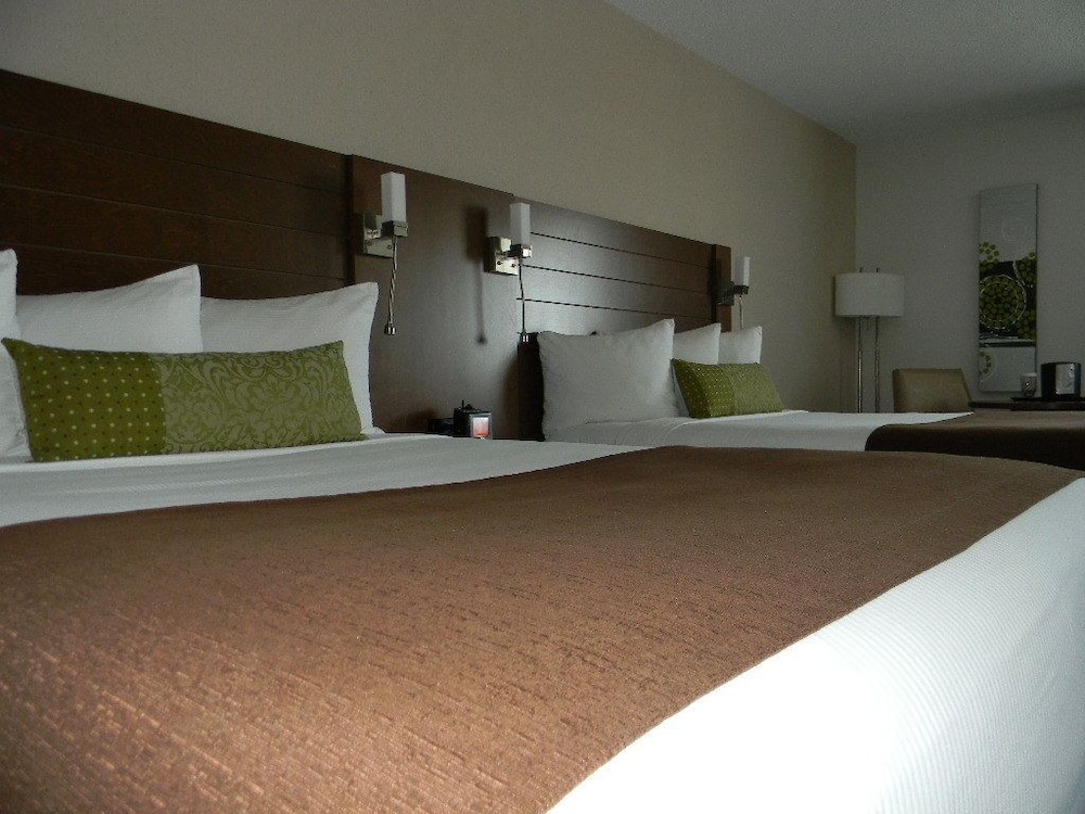 Business Room, 2 Double Beds, Non Smoking photo 3
