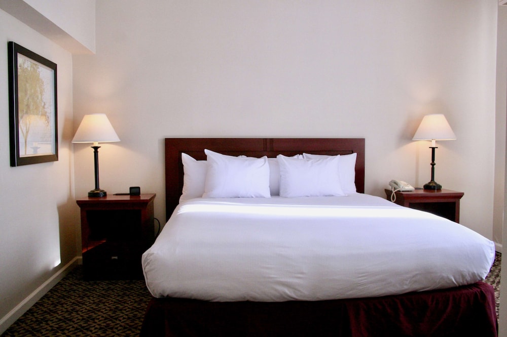 Suite, One King Bed, Accessible - Photo 3
