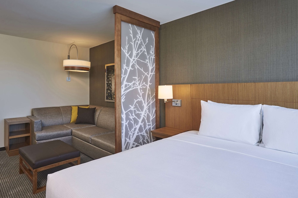 Room, Accessible (King Bed/Roll-in Shower plus Sofa Bed)