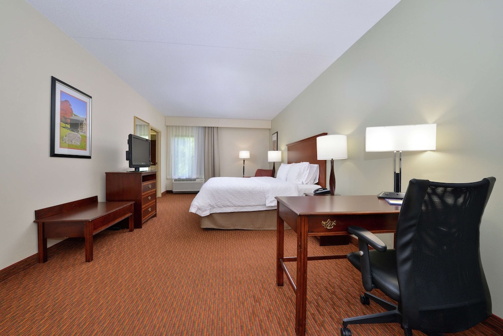 Large, One King Bed, Non-Smoking