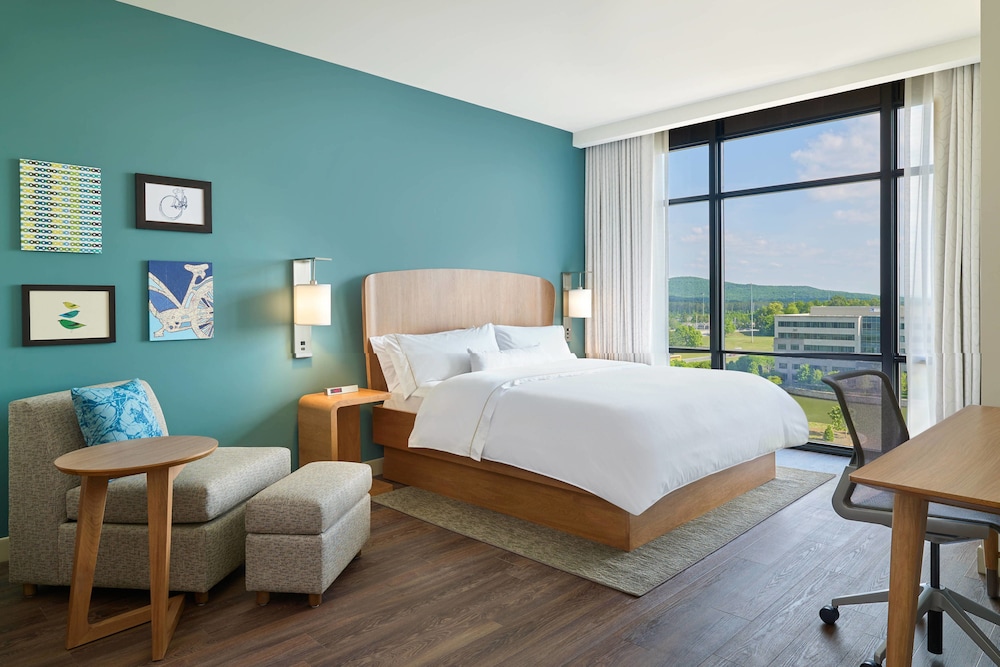 Standard Room, 1 King Bed (Mobility/Hearing Access, Roll-In Shwr) photo 1