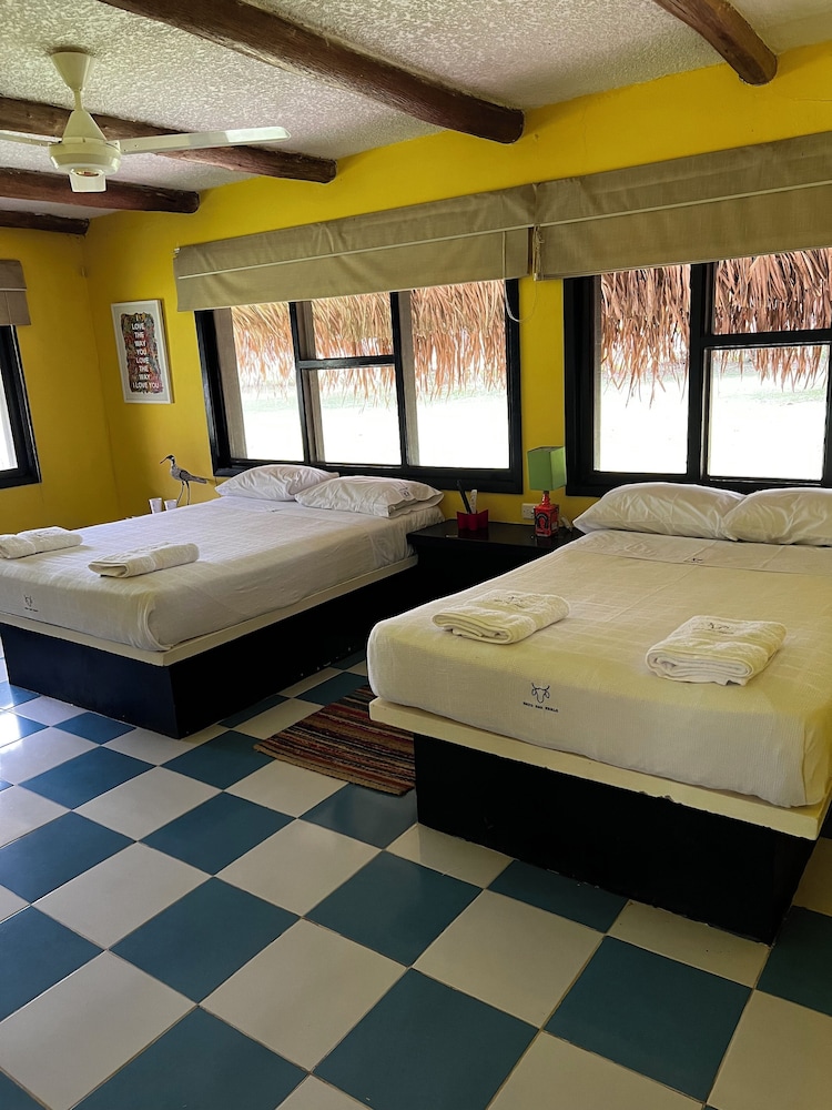 Quadruple Room, Garden View photo 1