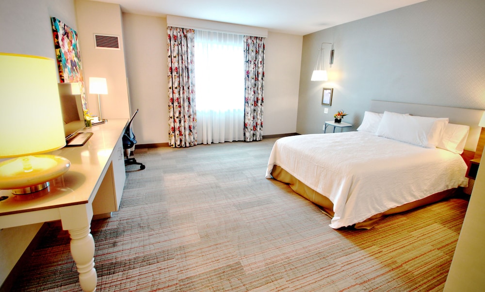 Room, 1 Queen Bed, Accessible (Roll-in Shower)