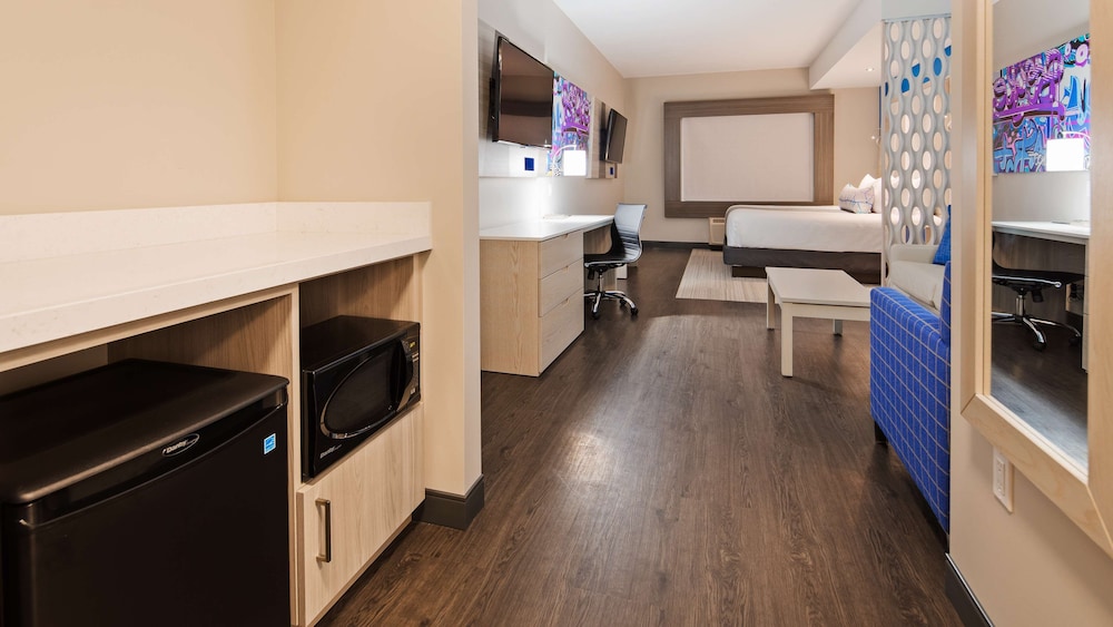 Standard Studio, 1 King Bed, Non Smoking, Refrigerator & Microwave (with Sofabed) - Photo 2