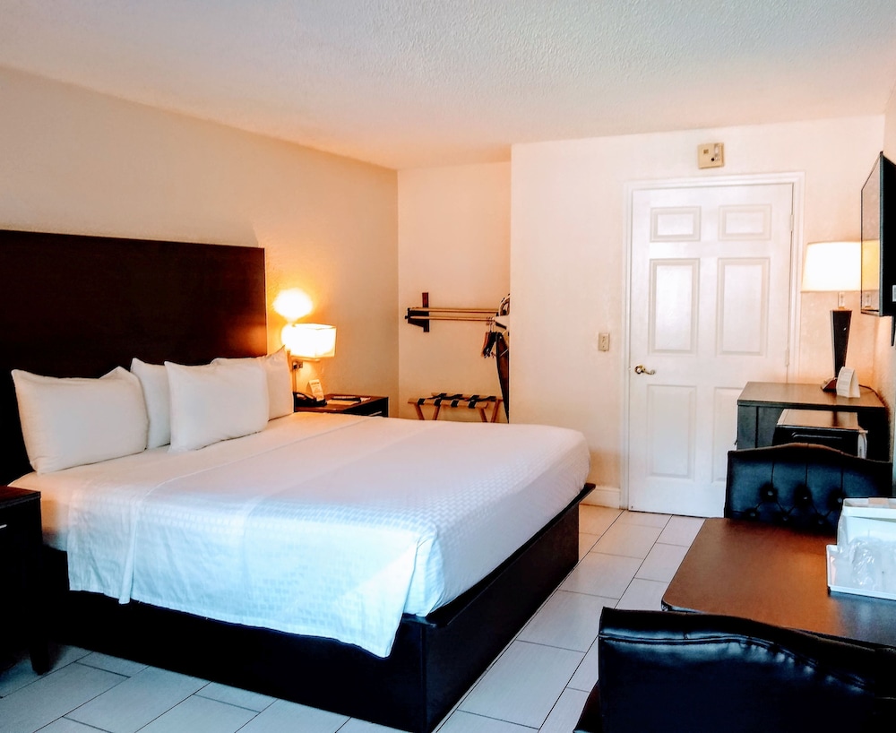 Standard Room, 1 King Bed, Accessible, Non Smoking - Photo 1