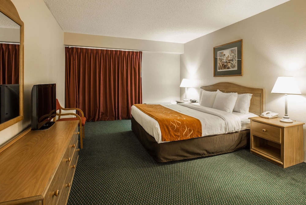 Deluxe Room, 1 King Bed, Non Smoking, Jetted Tub - Photo 3
