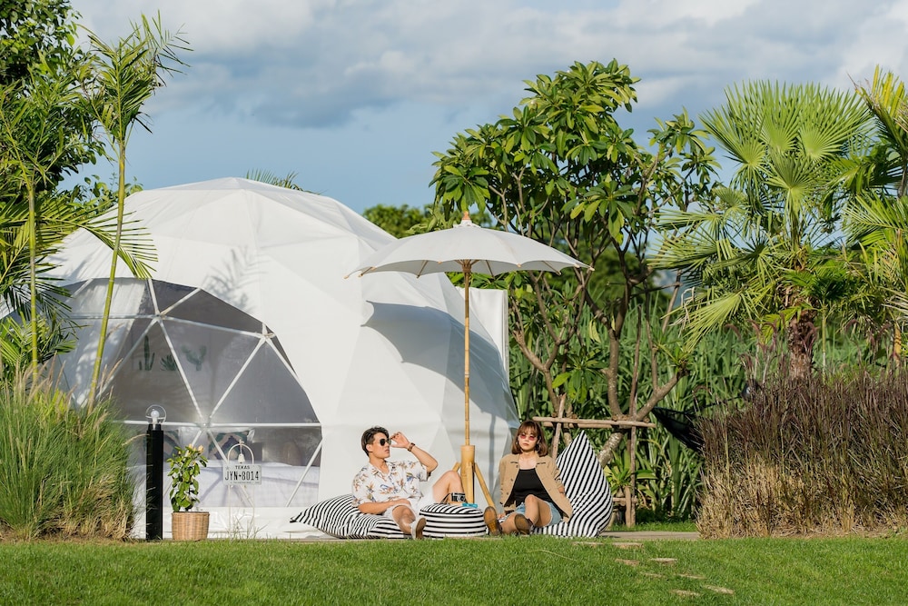Glamping Dome - Photo 8