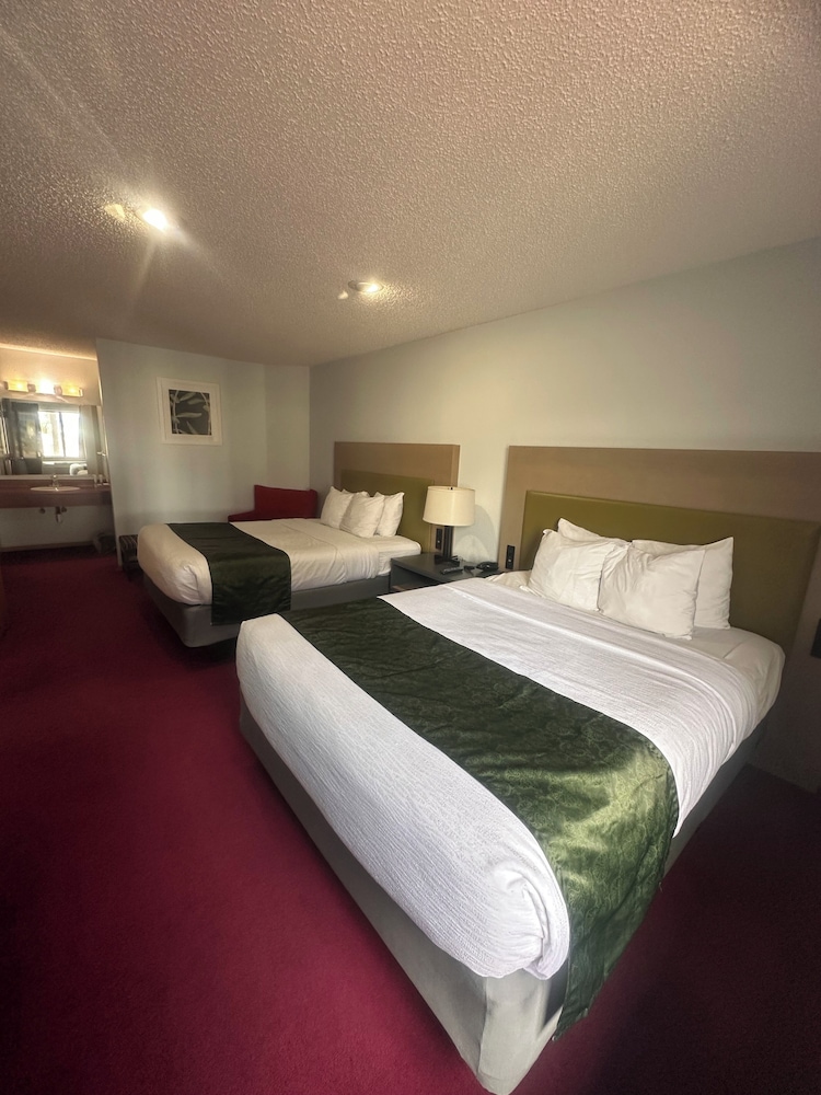 Suite, Multiple Beds