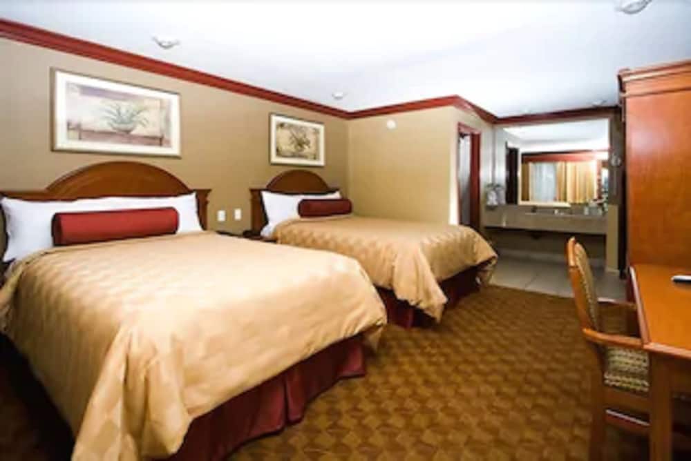 Superior Double Room, 2 Double Beds photo 1