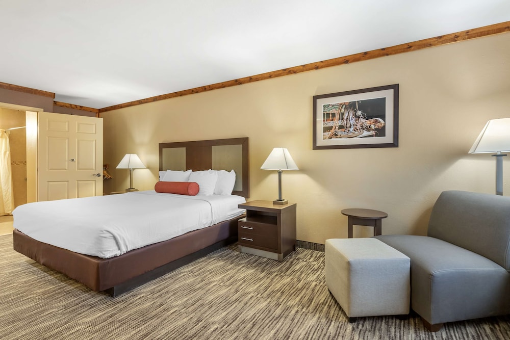 Standard Room, 1 King Bed, Accessible, Non Smoking photo 1
